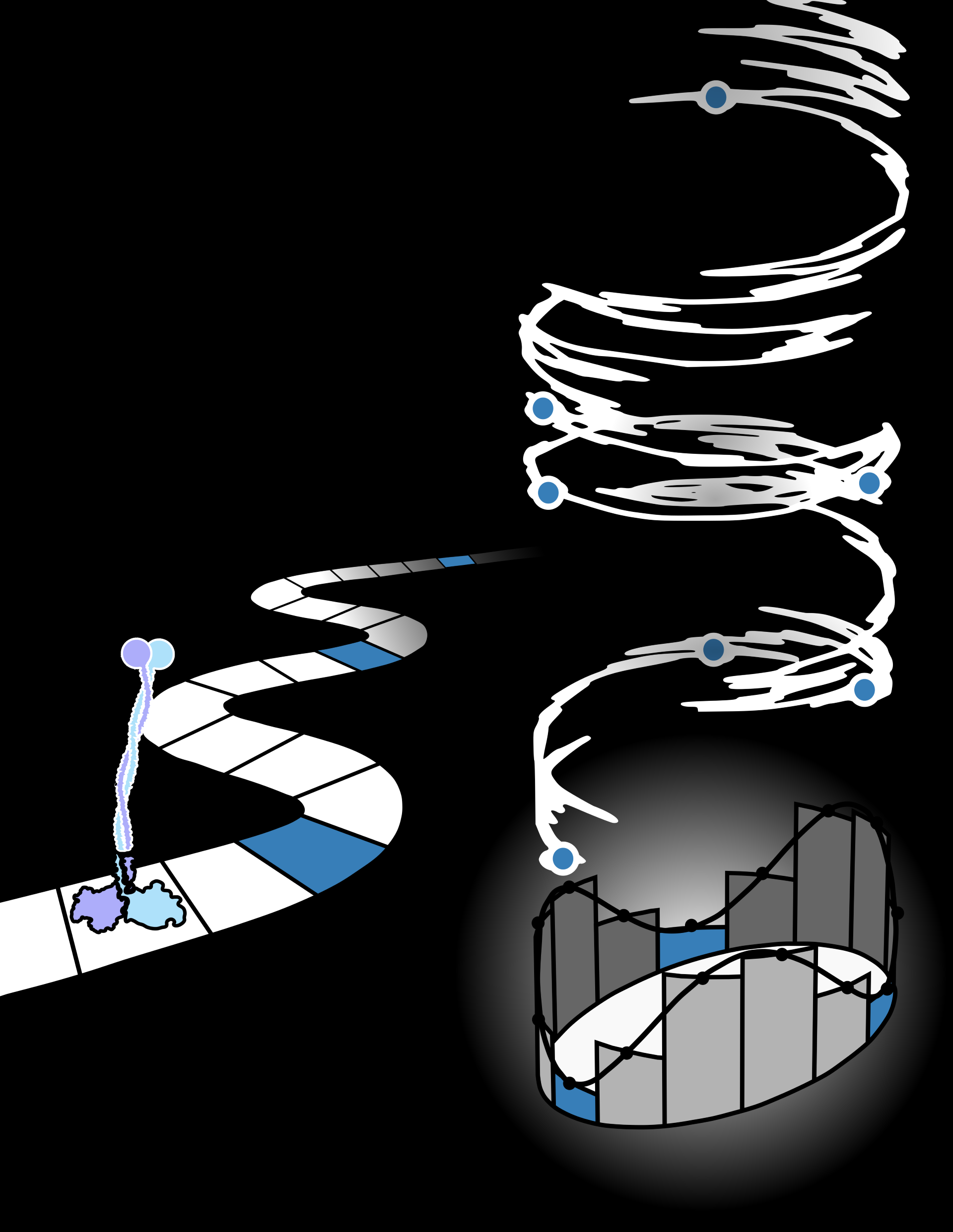 A schematic of the continuous motion of Kinesin, a molecular machine. Credit: Kristian Blom