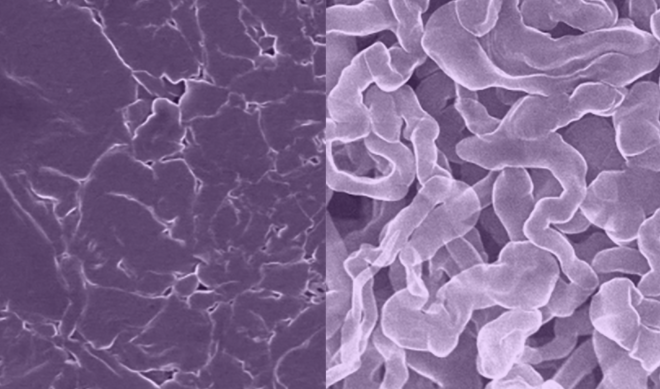 A new sodium metal anode for rechargeable batteries (left) that resists the formation of dendrites, a common problem with standard sodium metal anodes (right) that can lead to shorting and fires. Image credit: Yixian Wang