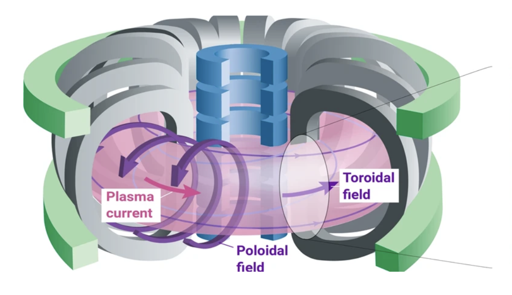 Tokamak Fusion Reactor