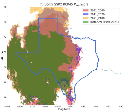 The figure above, generated by the Random Forest Classifier, shows the predicted historical (1991-2020) and future climate suitability distributions of Triatoma rubida, a species of kissing bug present in Texas.